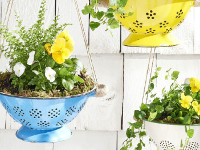 CountryLiving Strainer Planter